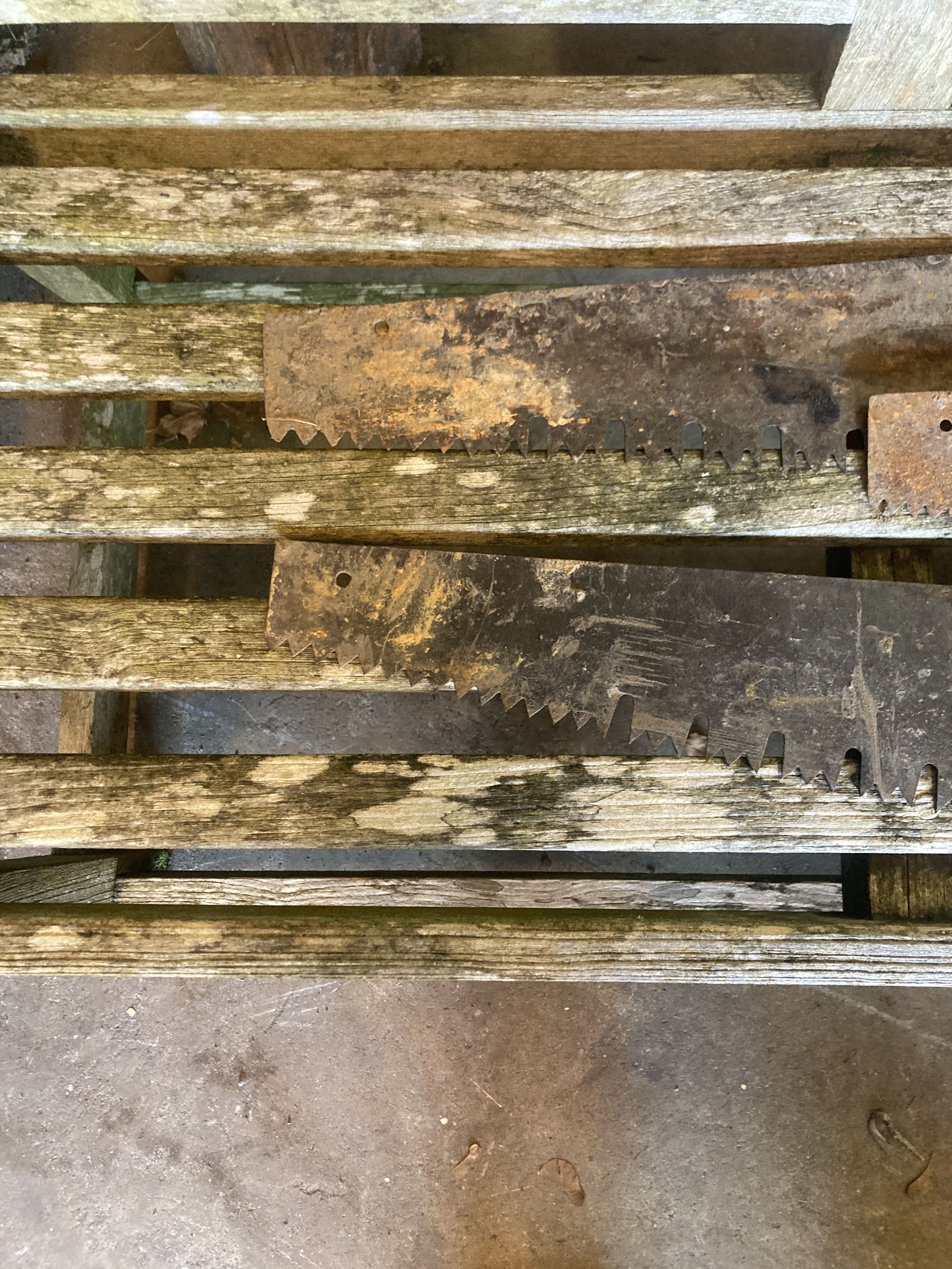 Three vintage hand saws, largest 120cm